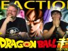 DBS63ReactionThumb0000