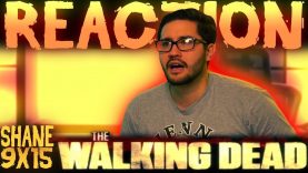 SHANE REACTS: The Walking Dead 9×15