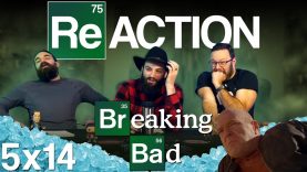 Breaking Bad 5×14 Reaction EARLY ACCESS