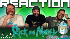 Rick and Morty 5×5 Reaction