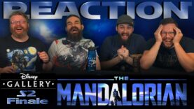 Disney Gallery: The Mandalorian 2×2 Reaction