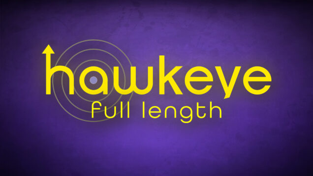 Hawkeye Full Length Icon