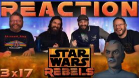 Star Wars Rebels Reaction 3×17