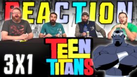 Teen Titans 3×1 Reaction