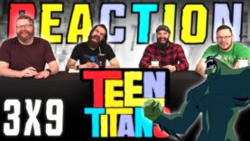 Teen Titans 3×9 Reaction
