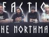The Northman Thumbnail