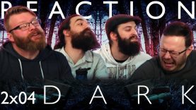 Dark 2×4 Reaction